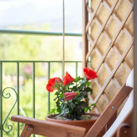 Cosy In Apartment